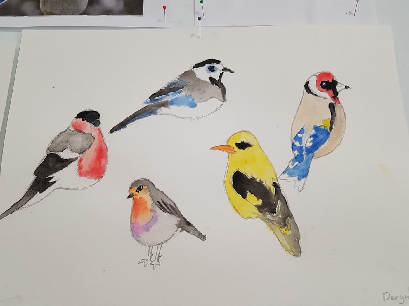 Dibujo de pájaros