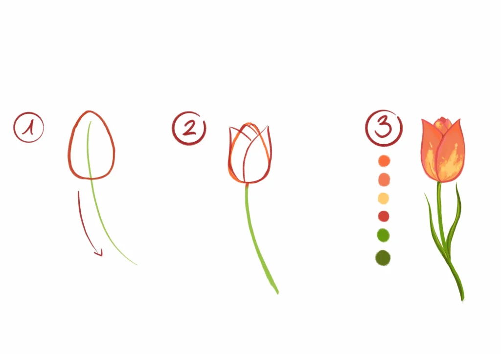 Dibujar tulipán